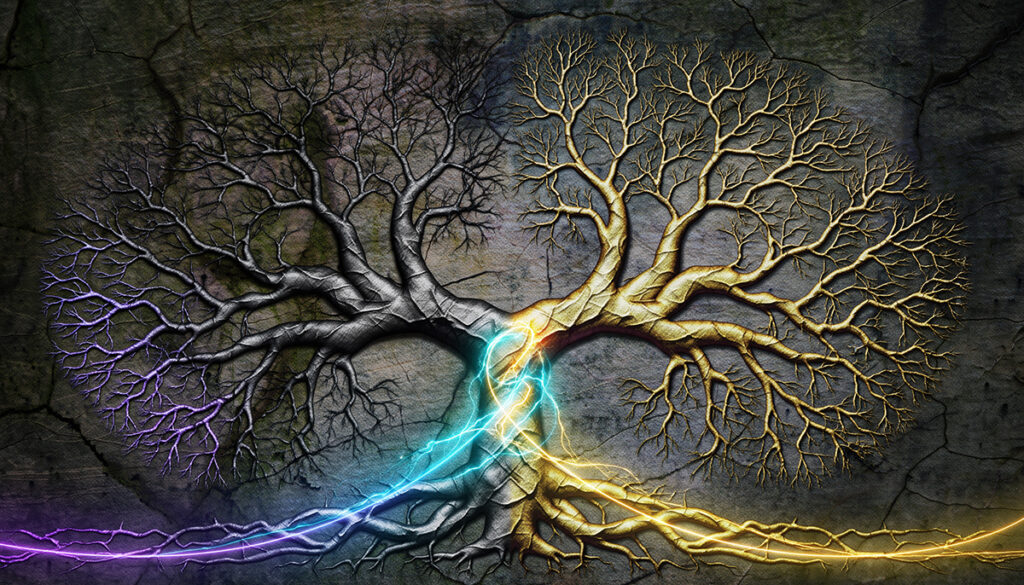 トム・リドルとハリー・ポッターの意外な血縁関係